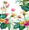 Tropical Pink Yellow by Victoria Nelson Shower Curtain 71&#x22; x 74&#x22;